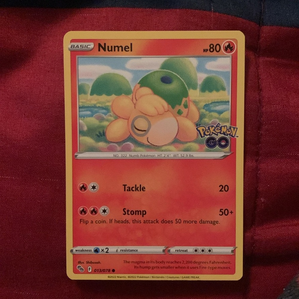 Fennekin, Beldum, Numel - Picture 3 of 3